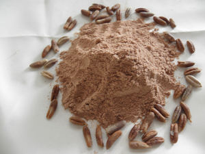 TOS Premium Graines de dattes entières de haute qualité 250g 100% naturelles nettoyées séchées qualité alimentaire Turquie Durée de conservation 48 mois - Product Image 3