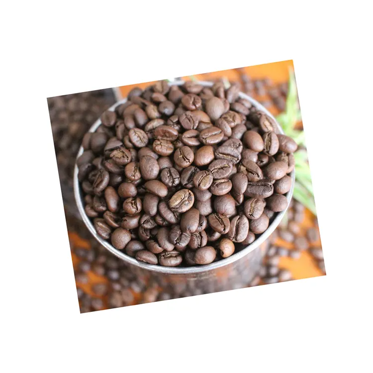 Vietnam Robusta Groene Koffiebonen-Topkwaliteit Robusta Koffie Goede Prijs Door Loc Nam Import Exportbedrijf Ltd