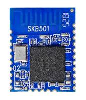 Módulo de chip inalámbrico de comunicación personalizable Nordic nRF52840 BLE 5.0 para medidores de agua/equipos médicos