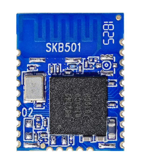 Customization Other communication wireless Nordic nRF52840 ble 5.0 chip module for water meters/medical equipment
