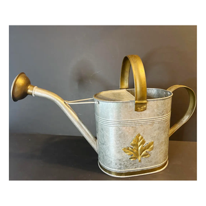 Arrosoir de jardin supérieur en acier inoxydable arrosoir à long bec pour plantes faciles à verser fleurs herbes Patio - Product Image 1