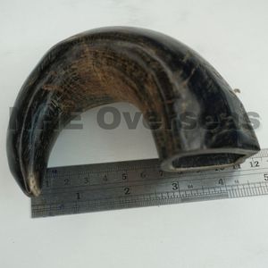 Cuerno de búfalo natural para masticar perros, fuerte, duradero, seguro, saludable, duradero, golosinas de NHE en el extranjero - Product Image 3