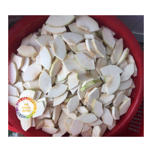 REBANADAS DE FRUTAS DE PAN CONGELADAS IQF DE PROVEEDOR DE VIETNAM PARA INDUSTRIA DE POSTRES Y COCINA DE FÁBRICA DE ALIMENTOS - Product Image 6