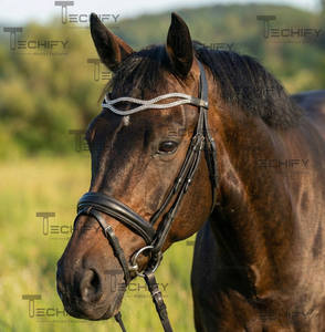 Diadema Premium Curva de Cristal para Caballos, Cuero Negro, Doble Hilera de Diamantes de Imitación, Cómoda, Duradera, Color Personalizable, Arnés - Product Image 4