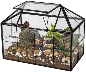 Venta caliente diseño contemporáneo Terrario de vidrio transparente maceta jarrón hierro Metal Mesa decorativa florero superior - Product Image 2