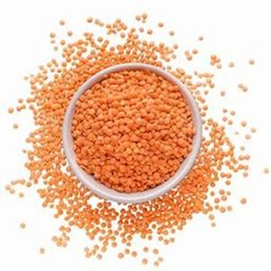 Affordable Organic Grade Red Whole <b>Lentils</b> Available for Sale at Cheap Price - Product Image 6