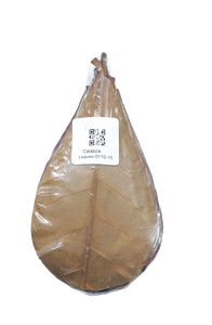 100% hojas indias de almendra secas naturales para pecera de menos de 10 cm/3,93 "Paquete de 15 hojas - Product Image 4