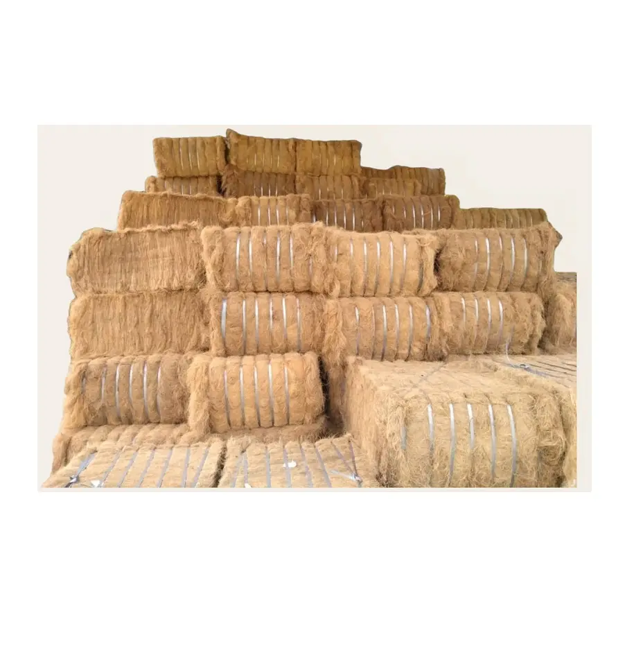 Вьетнам Кокосовая кокоса волокна сырья для продажи