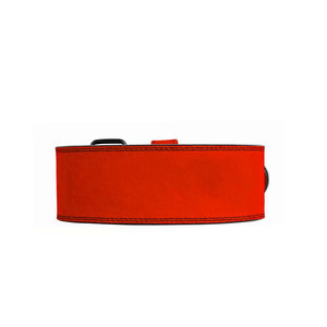 Breathable Adjustable Weightlifting Power <b>Belt</b> with Professional Protection and Customizable Options - Product Image 1