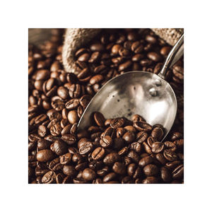 Granos de café bajo precio suministro a granel exportación calidad al por mayor - Product Image 6