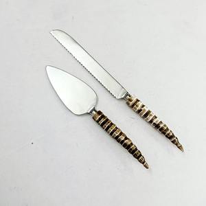 Proveedor indio de calidad superior, diseño moderno, mango de resina duradero de acero inoxidable único, juego de servidor de cuchillos para pasteles de 2 piezas - Product Image 1