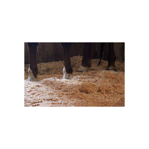 Sciure de bois naturelle de haute qualité en grandes quantités pour litière animale et aménagement paysager, usage agricole avec service OEM/ODM - Product Image 6