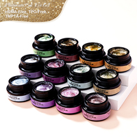 R S Nail Wholesale Hema Free Platinum Cat Eye Gel 12 Couleurs Holographic Glitter Shimmer Magnet Gel Polish