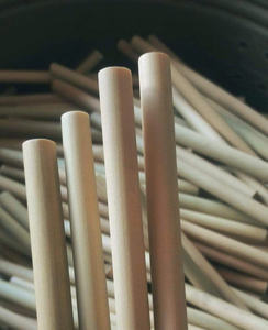 El mejor juego de pajitas de bambú natural para beber té de burbujas a granel de Vietnam con logotipo láser grabado hecho de material de alta calidad - Product Image 1