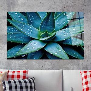 Impression sur toile de gouttes d'eau succulentes modernes, art mural botanique, art sur verre trempé - Product Image 1