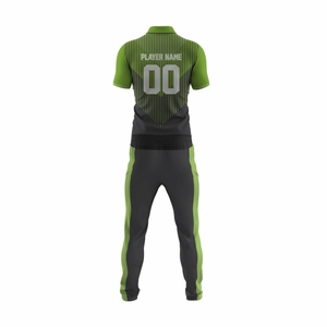 Custom <b>Make</b> <b>Your</b> <b>Own</b> Logo Design Cricket Uniform High Quality Sublimated Jersey With Pant pakistani & USA Cricket 2026 England - Product Image 3