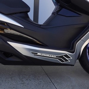 2 Cuscinetti Adesivi per Scooter Suzuki Carbon BURGMAN Accessori per Scritte - Product Image 1