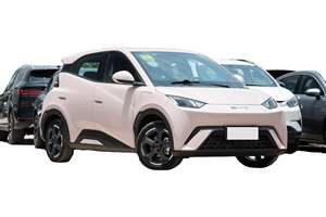 Autos Eléctricos Mini Usados de Alta Calidad, Seagull de 5 Puertas y 4 Asientos, Hatchback de Lujo con Techo Panorámico, de Alemania, para Adultos - Product Image 4