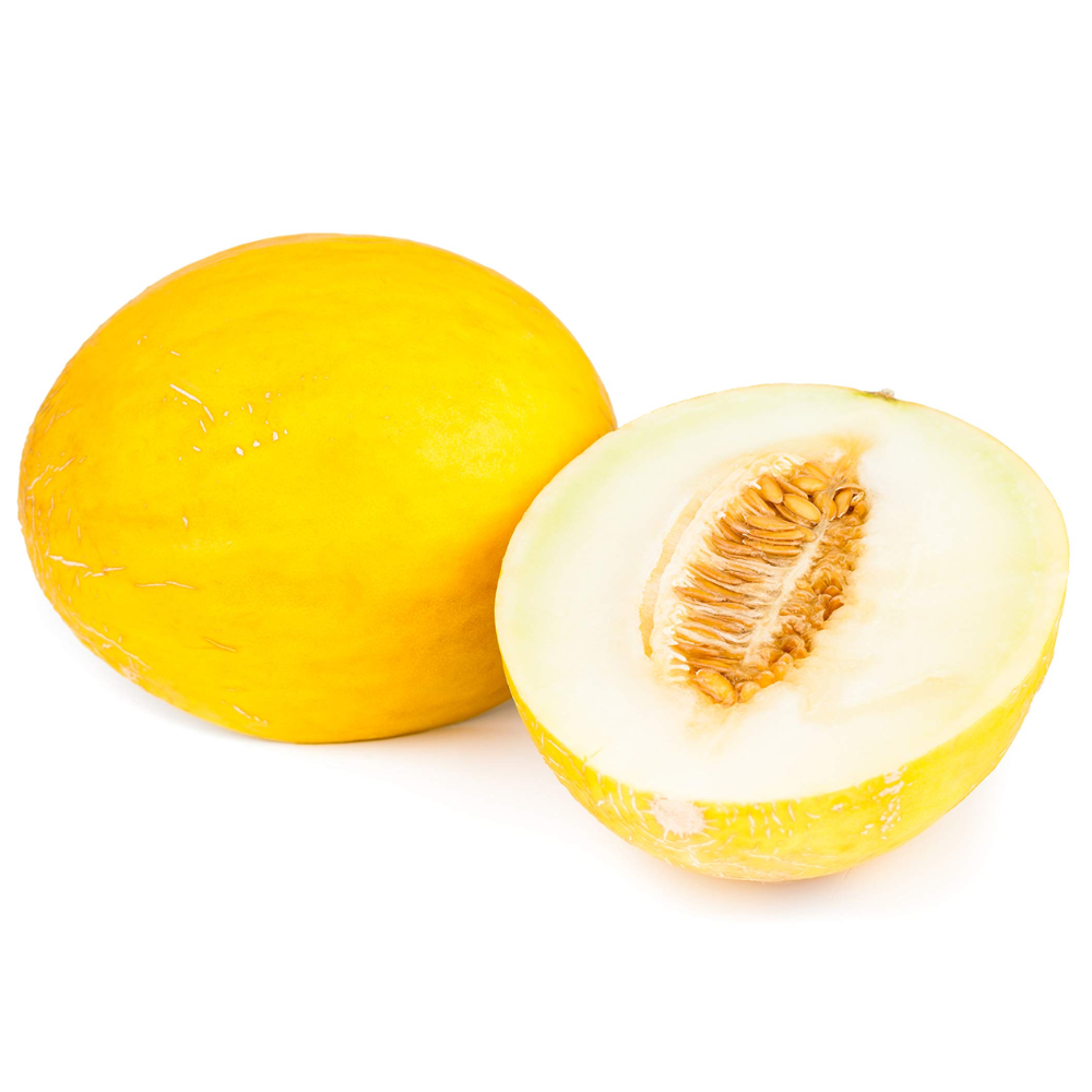 Картинки дыня на белом фоне