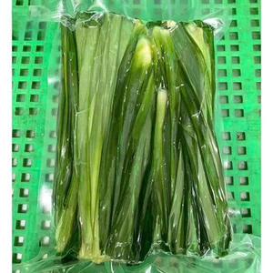 Feuilles de Pandan Surgelées IQF du Vietnam Qualité Fraîche Naturelle Fournisseur d'Exportation - Product Image 4