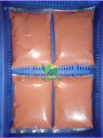 Groothandel Premium Zoete Diepvries Guave-Puree & Gehele Stukjes - Bulkverpakking - VIET THIEN PHU Vietnam Leverancier