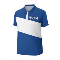 Chemise décontractée pour homme en jersey uni à manches courtes, 100 % coton respirant de haute qualité, imprimée par transfert thermique, personnalisée Phi Beta Sigma