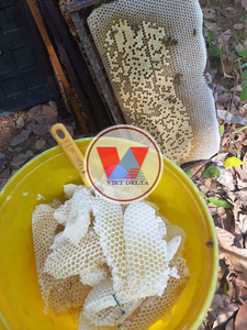 Miel de flores de café Premium de Vietnam - 100% puro y natural para exportación y venta al por mayor - Product Image 2