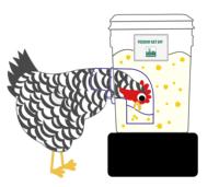 Système d'alimentation automatique pour volailles, équipement d'élevage, kit d'alimentation, modèle DIY, facile à personnaliser