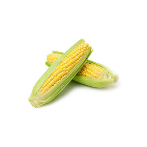 Maíz Amarillo Seco, Maíz para Palomitas - Product Image 1