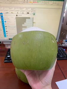 Cocos verdes frescos con agua de coco pelada, dos extremos recortados para exportar desde Vietnam - Product Image 6