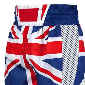 Meilleur vente en gros de shorts MMA solides sportifs de haute qualité pour hommes séchage rapide respirant taille élastique meilleure vente de services personnalisés OEM - Product Image 4