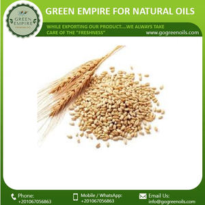 น้ำมันจมูกข้าวสาลีบริสุทธิ์น้ำมันขนส่งแบบสกัดเย็นสำหรับดูแลผิว - Product Image 6