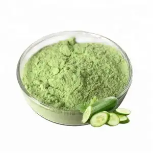 100% Pure organic cucumber seed powder/ fruit extract cucumber powder