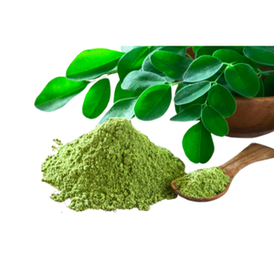 Poudre de Moringa oleifera de la meilleure valeur sur le marché - Product Image 2