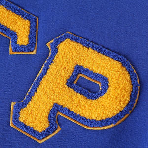 Sudadera Personalizada de la Fraternidad Sigma Gamma Rho con Bordado Chenille, Cuello Redondo, Felpa Transpirable de Poliéster/Algodón, Talla Grande para Hombre - Product Image 6