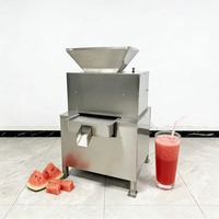 Hoge Efficiëntie Duurzame Wortelpers Energiebesparende Industriële Citroenpers voor Wortelsap en Citrusdrankproductie