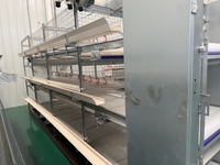 Nouveau système de cages à batterie multi-niveaux de type H en acier inoxydable et acier galvanisé pour l'élevage avicole intensif, facile à utiliser