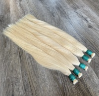 Cabello Humano Liso Vietnamita/Camboyano a Granel (BULK) Crudo Doble Grosor/Súper Doble Grosor con Cutícula Alineada