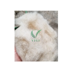 Vietnamese Banana Fiber Natural Eco Friendly Material for <b>Ropes</b> <b>Crafts</b> and More - Product Image 1