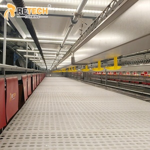 Système d'alimentation automatique pour élevage commercial de poulets de chair, équipement de cages de reproduction de type H pour poulets reproducteurs - Product Image 3