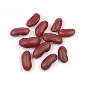 Haricots rouges en gros de haute qualité 100% pur naturel étincelant en vrac emballage sous vide prix usine - Product Image 2