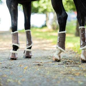 Bottes de brossage personnalisées pour chevaux, avec protection antichoc des tendons et des articulations, fabriquées au Pakistan pour l'équitation - Product Image 5