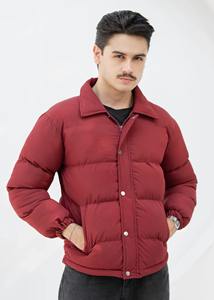 Vestes thermiques d'extérieur pour hommes, manteaux d'hiver imperméables, vestes matelassées personnalisées à fermeture éclair pour hommes, fabricants en gros de vestes personnalisées - Product Image 2
