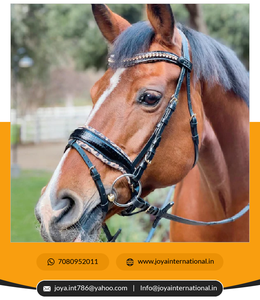 Croc verni en cuir noir personnalisé de haute qualité H.M. Safari Snaffle Bridle Prix de gros Produit de cheval non vivace - Product Image 2