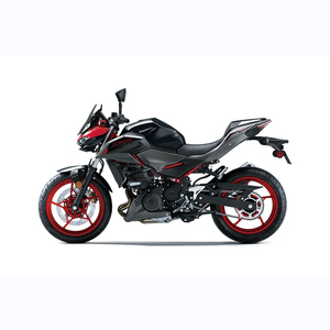 2024 para Kawasaki Z500 - Product Image 3