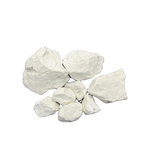 Poudre de chaux vive d'usine à bas prix chaux vive à haute teneur en calcium chaux brûlée pour le traitement des gaz de combustion chaux vive - Product Image 1