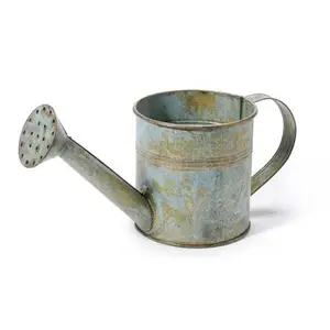 Diseño Premium hecho a mano de hierro Metal regadera fabricante al por mayor personalizado jardín decoración planta regadera - Product Image 1