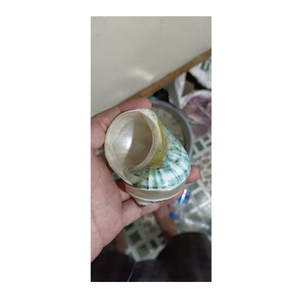 Hermosa Concha blanca y verde para decoración de interiores y regalos del exportador de datos de oro 99 del proveedor de Vietnam - Product Image 4