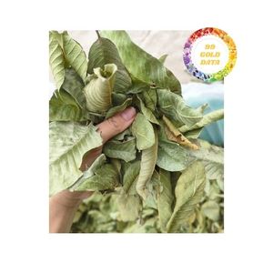 Té de Hoja de Guayaba Producido en Vietnam con Origen Directo de la Granja, Garantizando Material Botánico Seco y Limpio, Ideal para los Requisitos del Comprador - Product Image 3