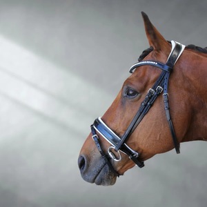 Brida ecuestre de cuero italiano con tocado anatómico y banda de cristal Smart Horses' Popular Horse Product Soft Padding - Product Image 4